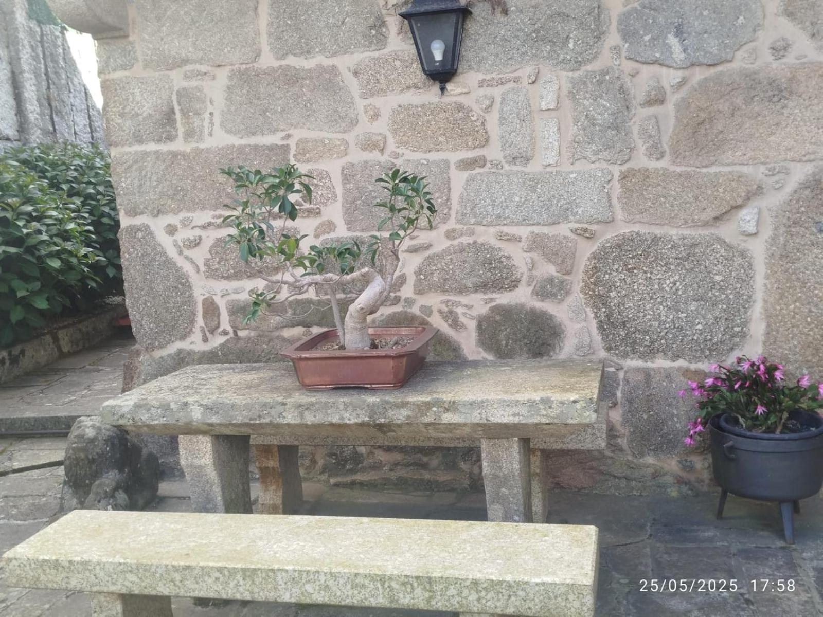 O Apartamento Do Xanza, Ideal Para Parejas Adaptado Movilidad Reducida Meis Exterior photo