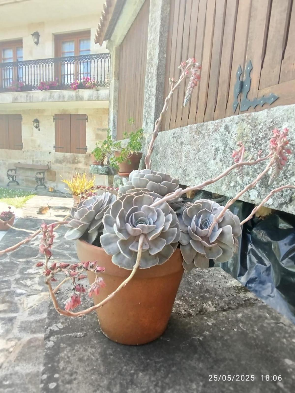 O Apartamento Do Xanza, Ideal Para Parejas Adaptado Movilidad Reducida Meis Exterior photo